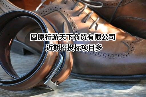 固原行游天下商贸有限公司
