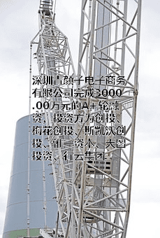 深圳青颜子电子商务有限公司