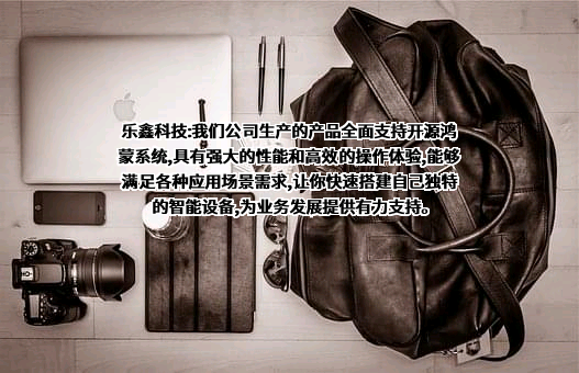 乐鑫信息科技（上海）股份有限公司