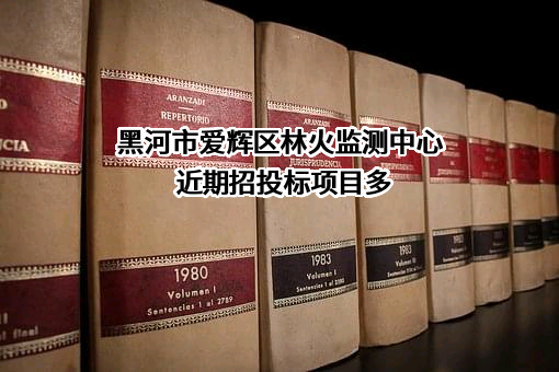 黑河市爱辉区林火监测中心