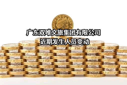 广东双唯文旅集团有限公司