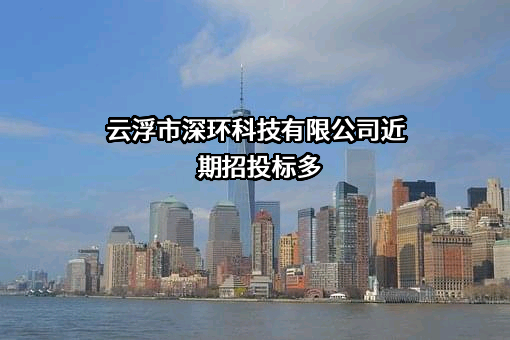 云浮市深环科技有限公司