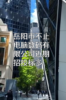 岳阳市不止电脑数码有限公司