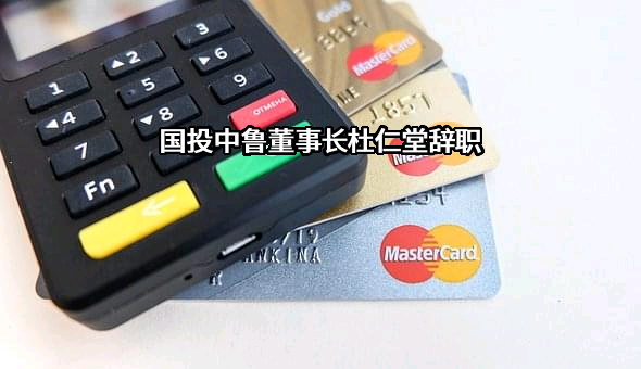 国投中鲁果汁股份有限公司