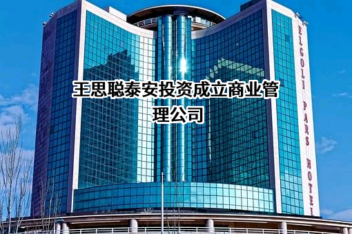 泰安市城市发展投资有限公司
