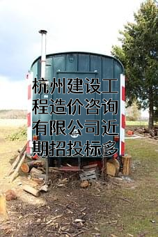 杭州建设工程造价咨询有限公司