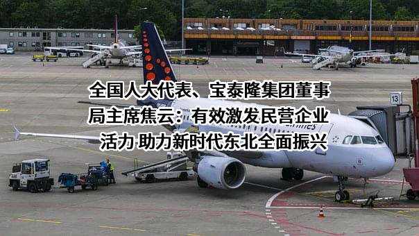 宝泰隆集团有限公司