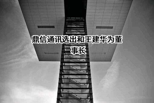 鼎信通讯选出和王建华为董事长