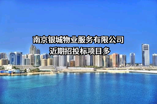 南京银城物业服务有限公司