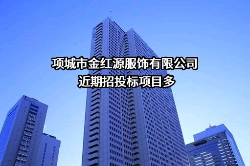 项城市金红源服饰有限公司近期招投标项目多