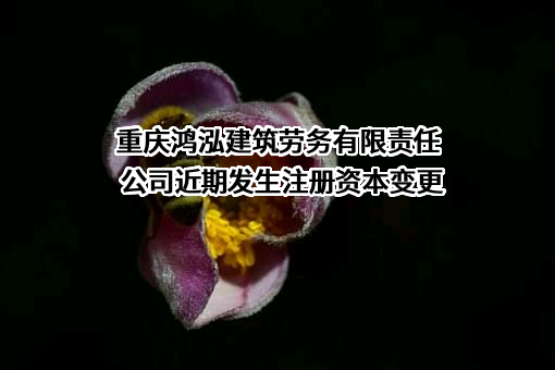 重庆鸿泓建筑劳务有限责任公司