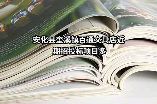 安化县奎溪镇百通文具店近期招投标项目多