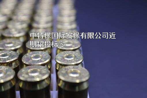 中特保国际安保有限公司