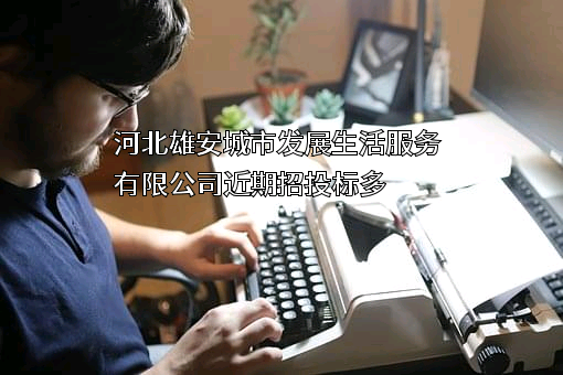 河北雄安城市发展生活服务有限公司