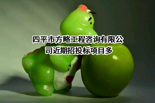 四平市方略工程咨询有限公司