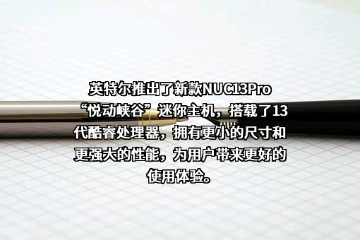 英特尔（中国）有限公司