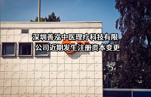 深圳善泓中医理疗科技有限公司