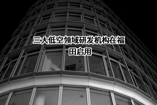 深圳市机场（集团）有限公司
