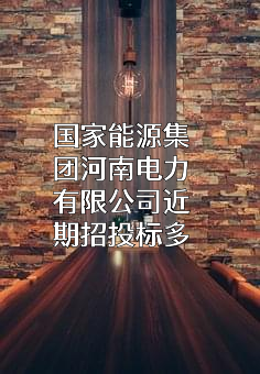 国家能源集团河南电力有限公司