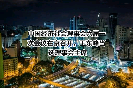 中国经济社会理事会六届一次会议在京召开，王东峰当选理事会主席