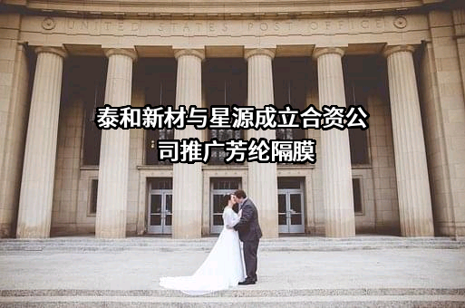 泰和新材与星源成立合资公司推广芳纶隔膜