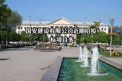 国安建设有限公司