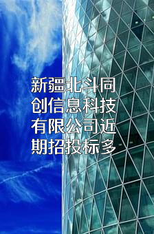 新疆北斗同创信息科技有限公司