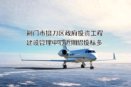 荆门市掇刀区政府投资工程建设管理中心