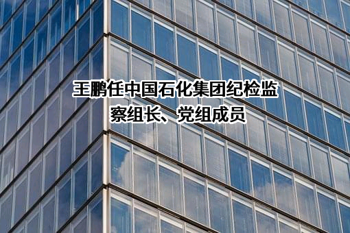 中国石油化工集团有限公司