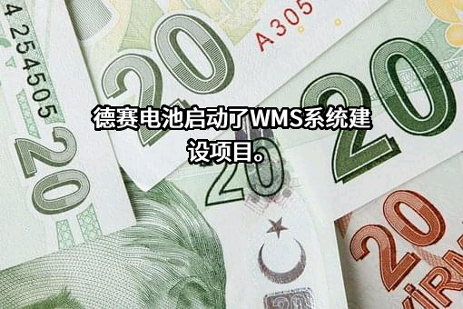 深圳市德赛电池科技股份有限公司