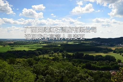 广西田阳红石酒店有限公司