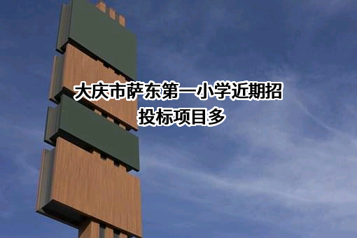 大庆市萨东第一小学