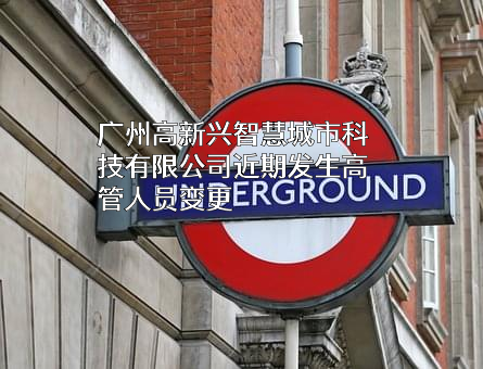 广州高新兴智慧城市科技有限公司