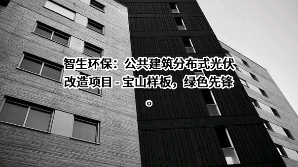 上海智生环保技术工程有限公司