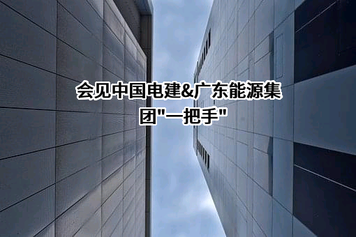 中国电力建设股份有限公司
