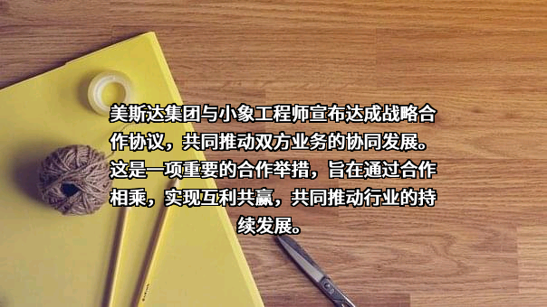 广西美斯达集团有限公司