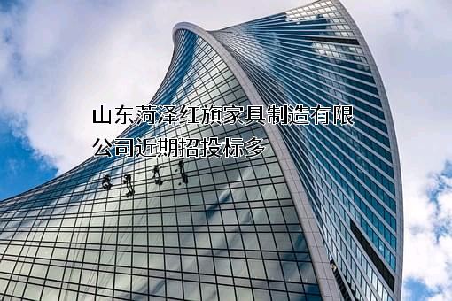 山东菏泽红旗家具制造有限公司
