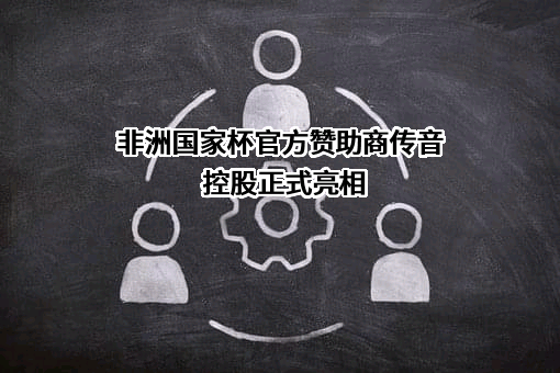 深圳传音控股股份有限公司