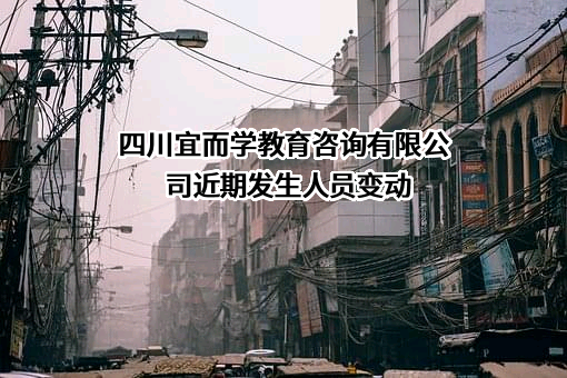 四川宜而学教育咨询有限公司