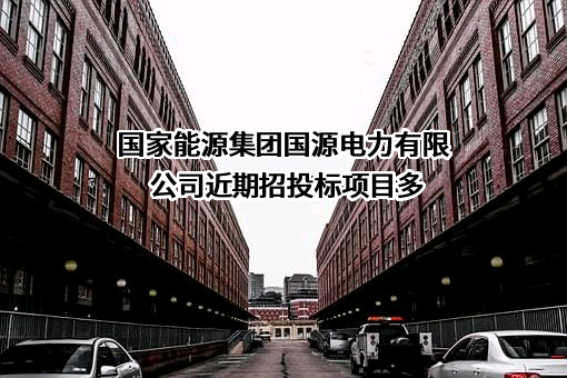 国家能源集团国源电力有限公司