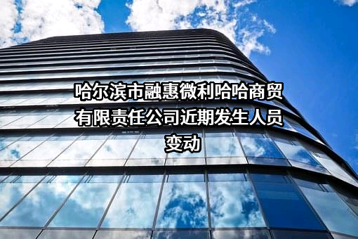 哈尔滨市融惠微利哈哈商贸有限责任公司