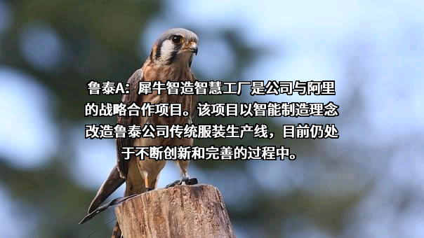 阿里巴巴集团控股有限公司