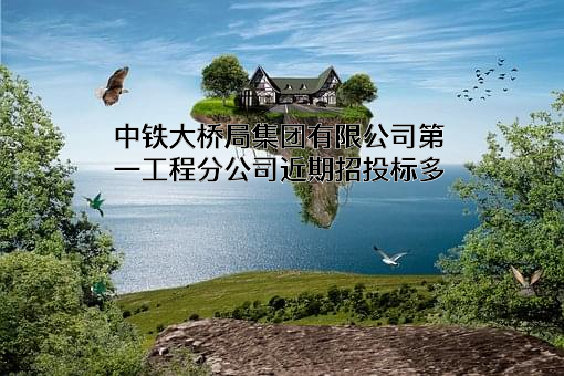 中铁大桥局集团有限公司第一工程分公司近期招投标项目多