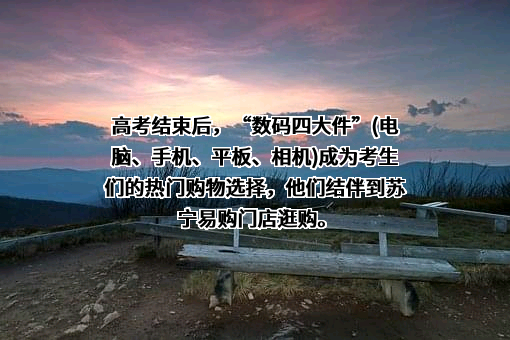 苏宁易购集团股份有限公司
