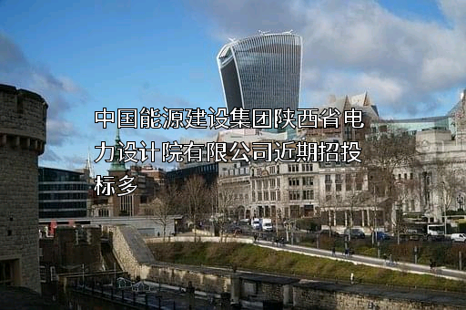 中国能源建设集团陕西省电力设计院有限公司