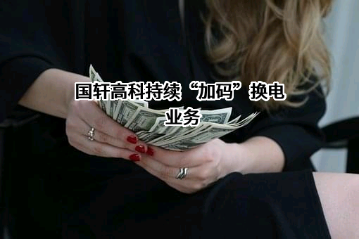 国轩高科股份有限公司