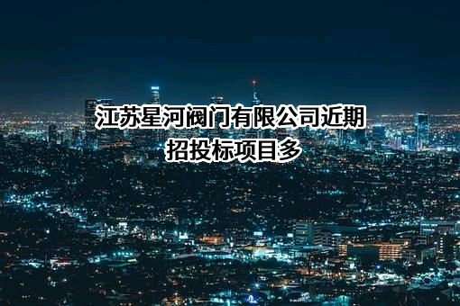 江苏星河阀门有限公司