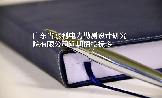 广东省水利电力勘测设计研究院有限公司