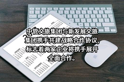 河南新发展文旅集团有限公司
