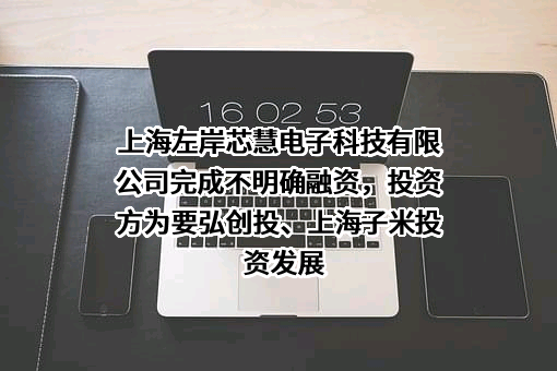 上海左岸芯慧电子科技有限公司